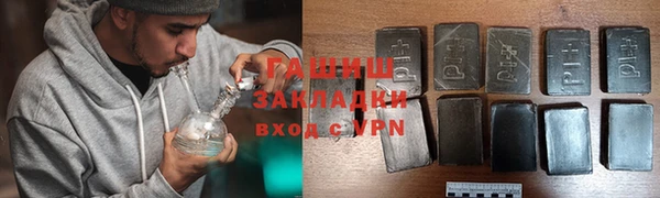 шишки Новозыбков