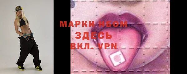 шишки Новозыбков