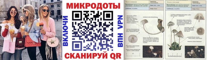 Псилоцибиновые грибы мухоморы  KRAKEN ссылки  Славгород 
